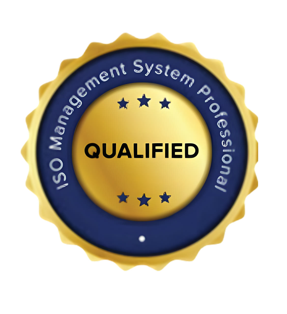 ISO Management System Professional — Qualified seal